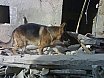 Abruzzo 2009