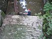 Staro 2009
