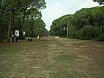 Grossetto 2006
